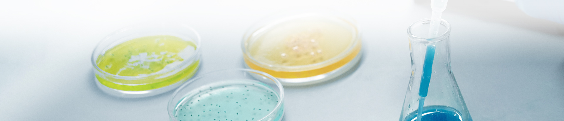 專家團(tuán)隊(duì)